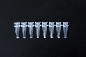 PCR tube 84-6812