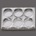 6 Well Cell Culture Plate, Flat