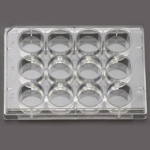 12 Well Cell Culture Plate, Flat