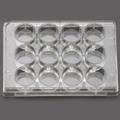 12 Well Cell Culture Plate, Flat