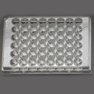 48 Well Cell Culture Plate, Flat