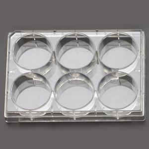 6 Well Cell Culture Plate, Flat Non-Treated