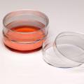 100mm Cell Culture Dish, TC, 20/bag