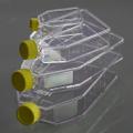 25cm2 Cell Culture Flask, Plug Seal Cap, Non-Treated