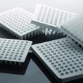 0.2ml 96 Well PCR Plate, No Skirt,  White, 25/pk, 100/cs   4020110.2ml 96 Well PCR Plate, No Skirt, White