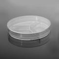 100 x 15 mm Petri Dish, Y-Plate (3-section), Semi-Stackable, sterile